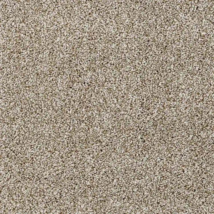 Limited time offer at rug warehouse free rug resizing customizing